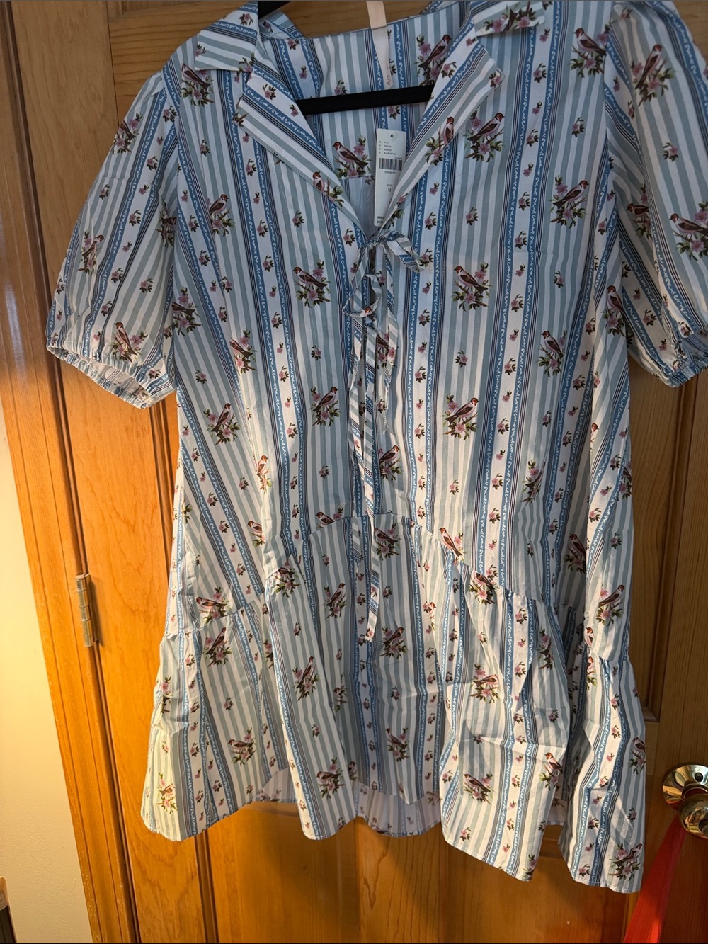 Anthropologie Blue and White Striped Floral Mini Dress